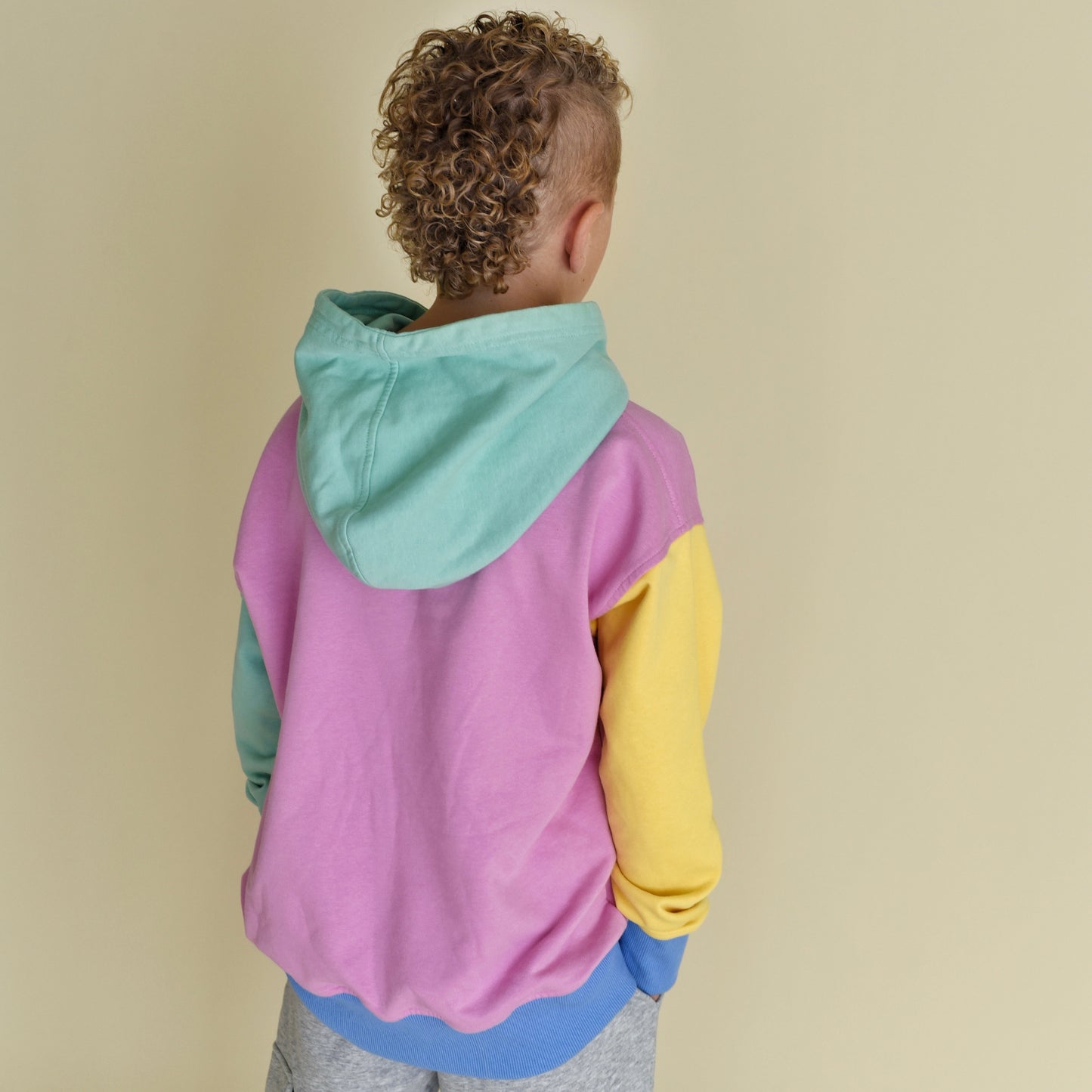 hoodie - pastel colorblock